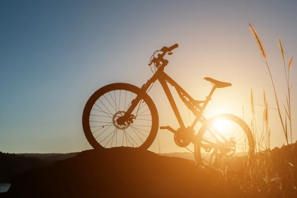 Vélo de montagne